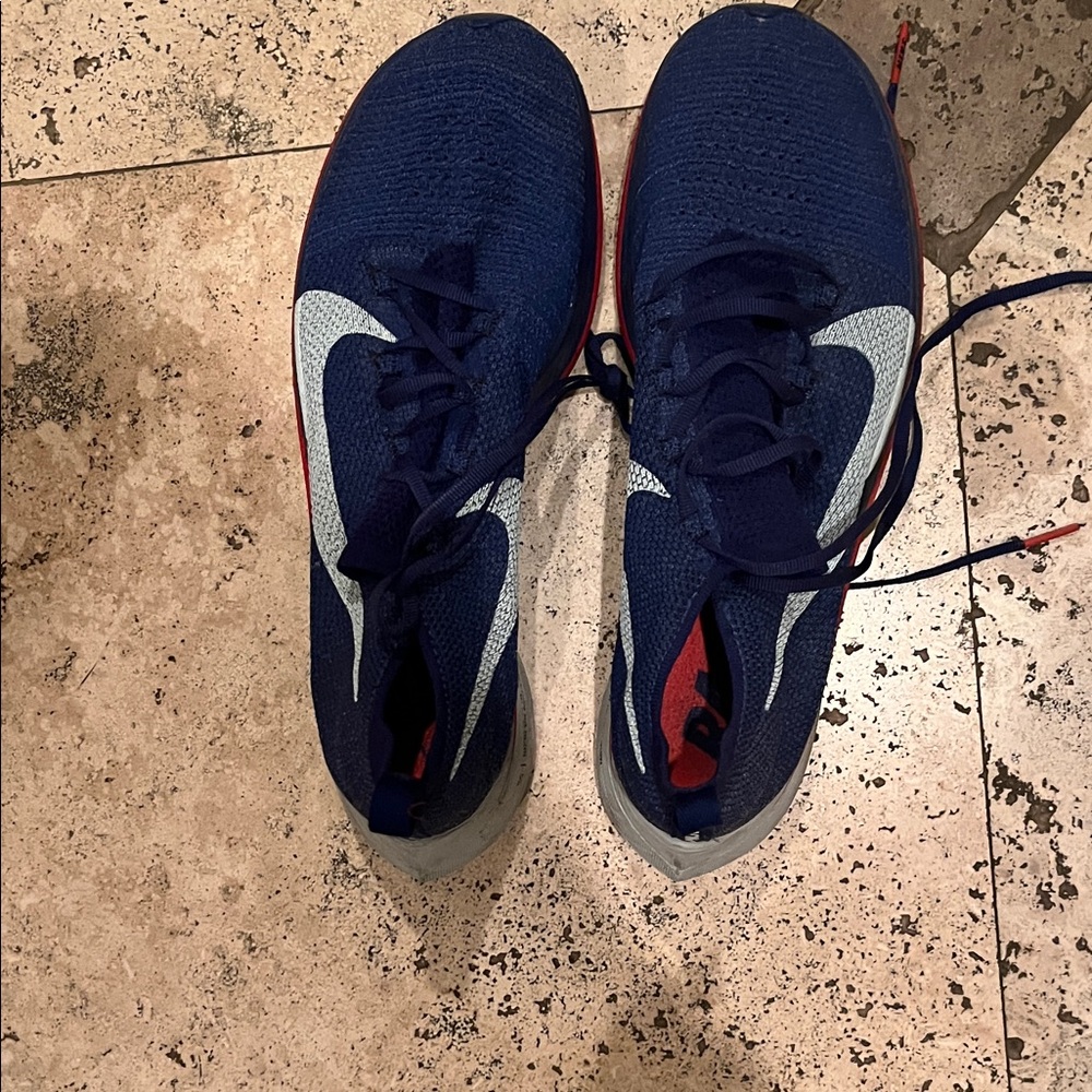 Nike Navy and White Running Shoes